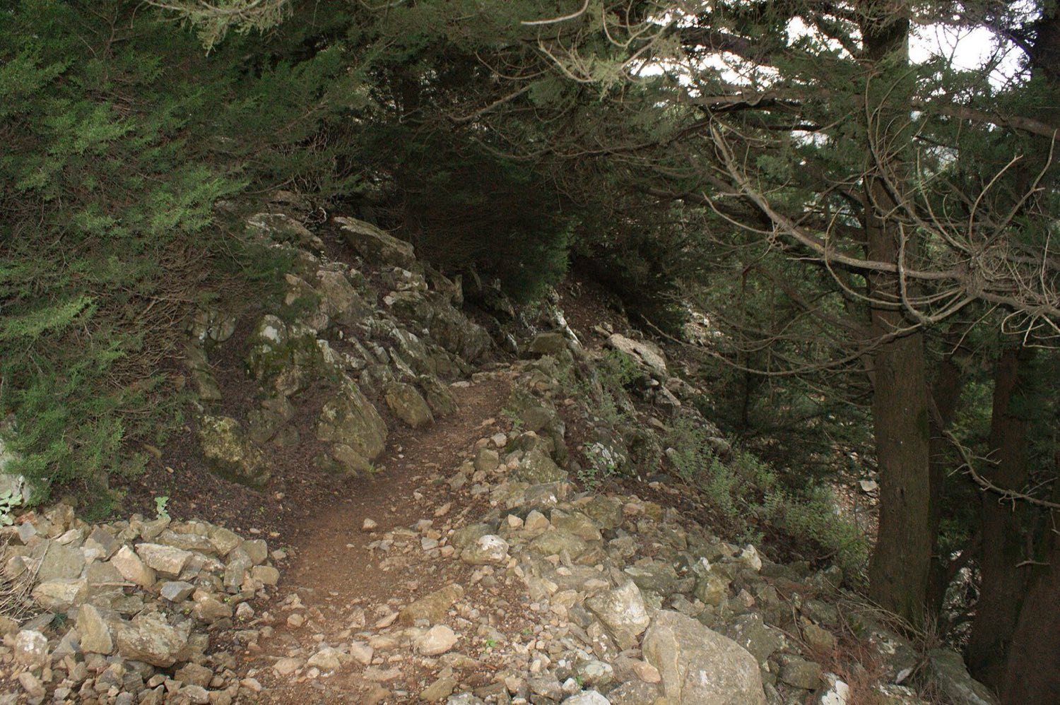 Stony hiking path climbing the slopes of Mount Dikeos on Kos